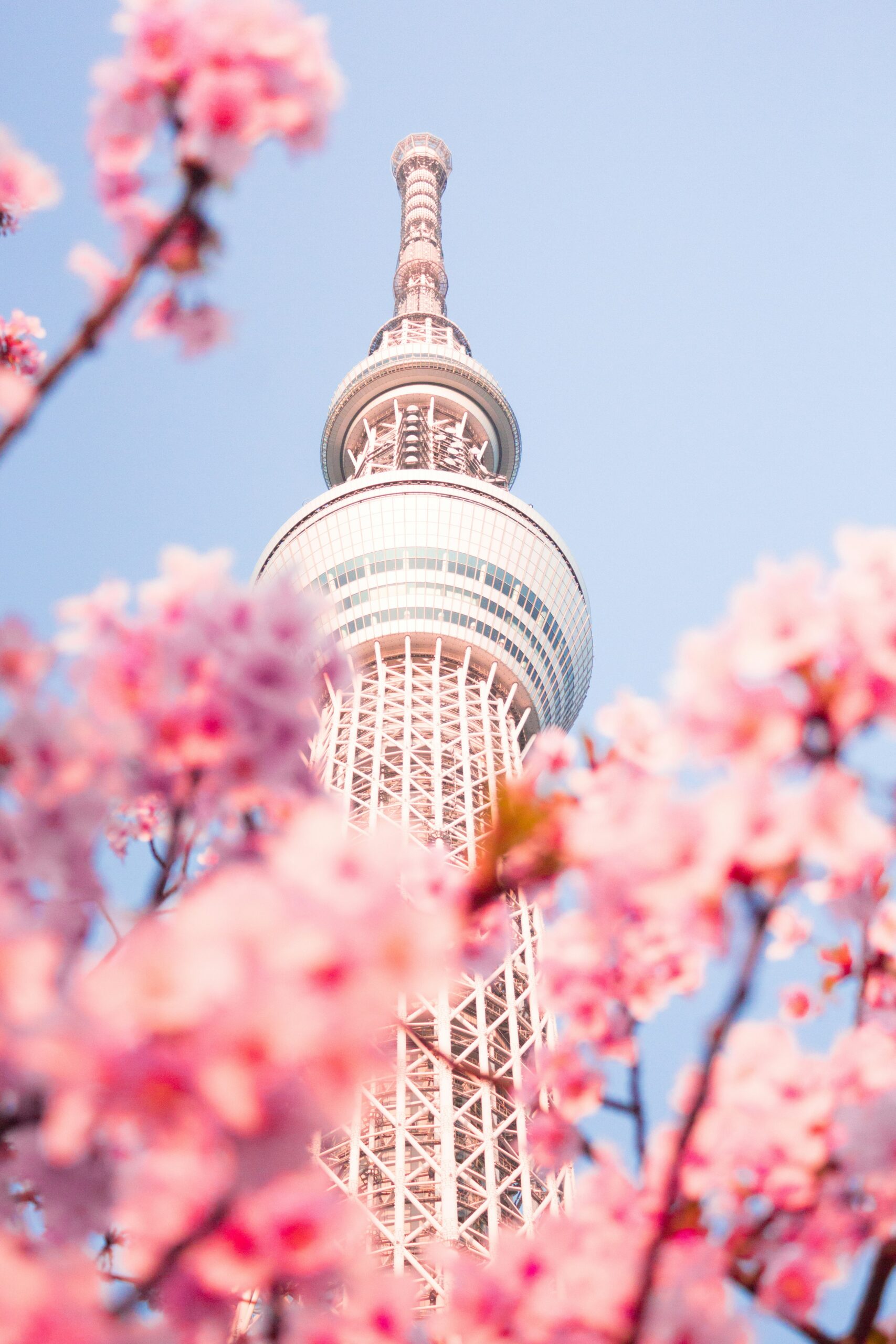 【2025出國必看】行動電源怎麼帶才能上飛機？旅行前必買行動電源推薦！