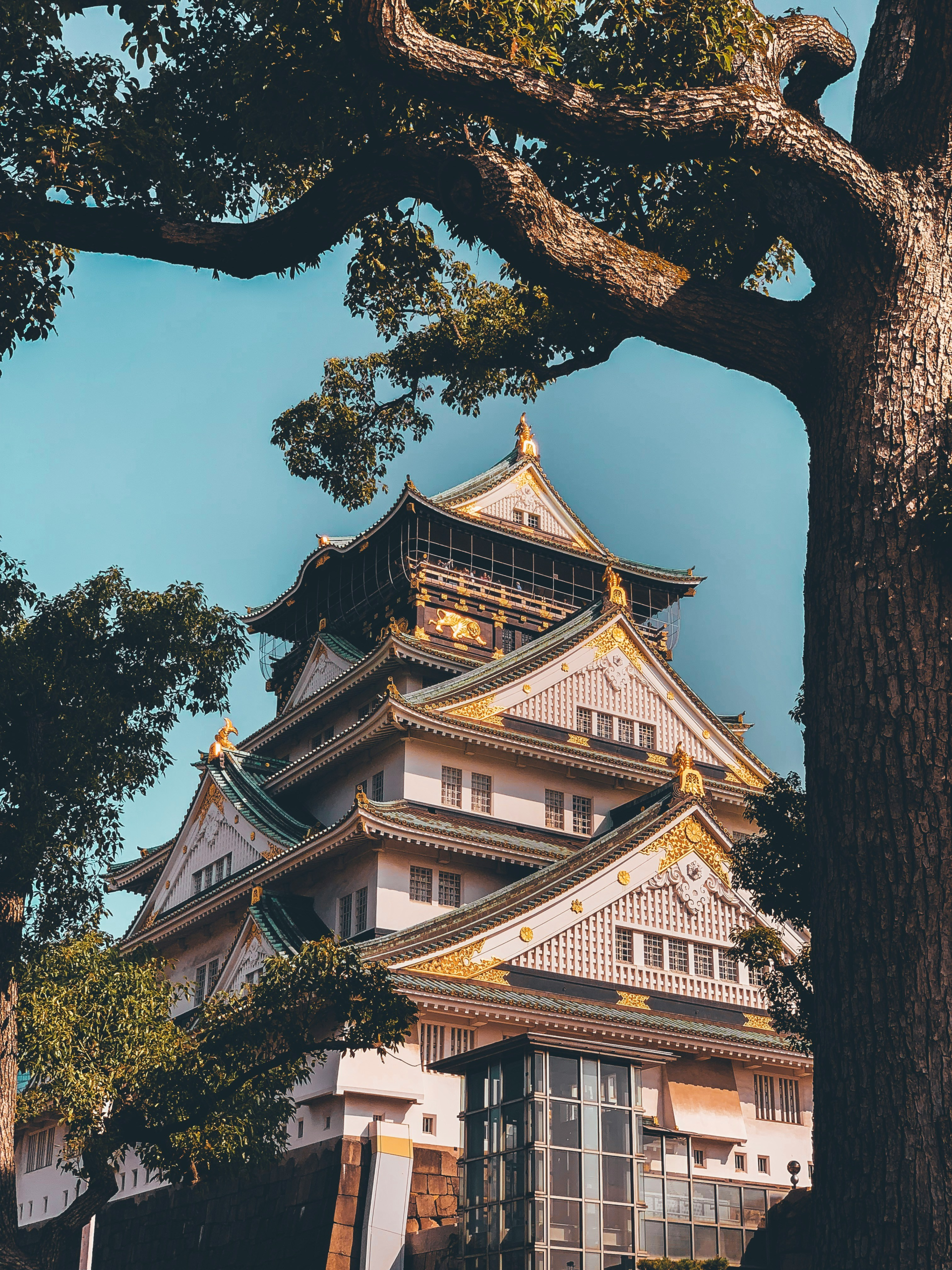 日本旅遊注意事項懶人包｜自由行必看行前準備與小技巧