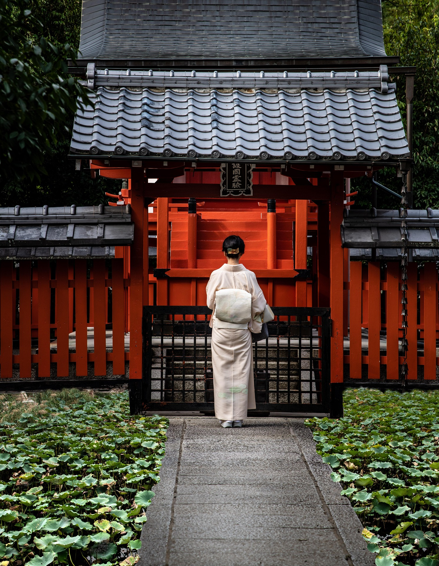飛京都必看！京都自由行攻略｜必去景點、美食與散步路線